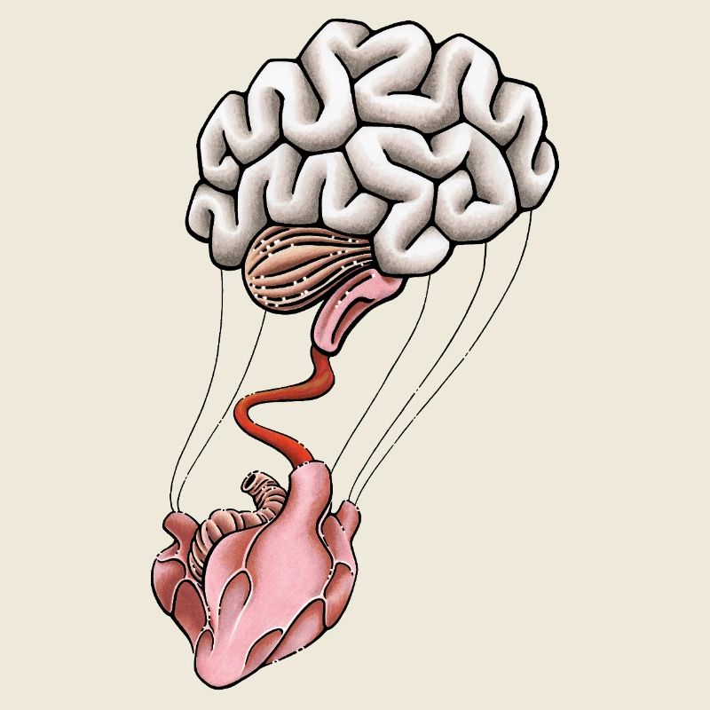 Heart & Brain
