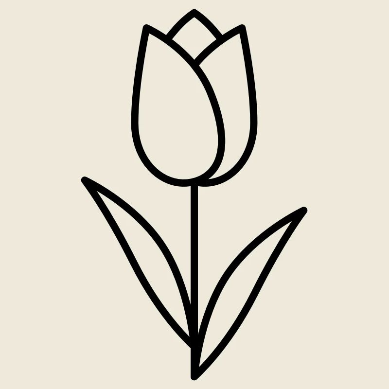 Tulipe