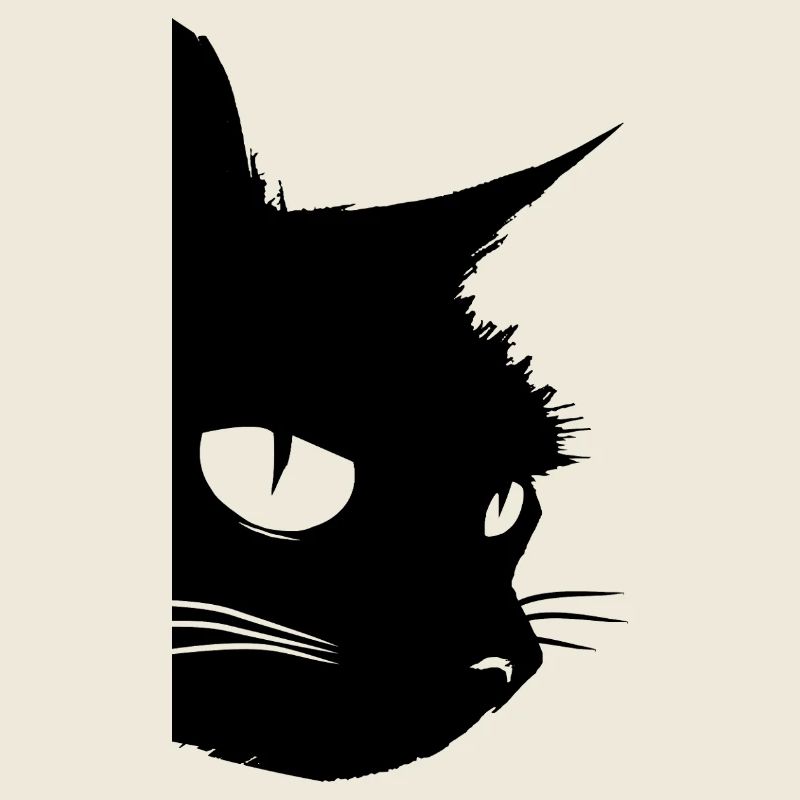 Chat noir mâle