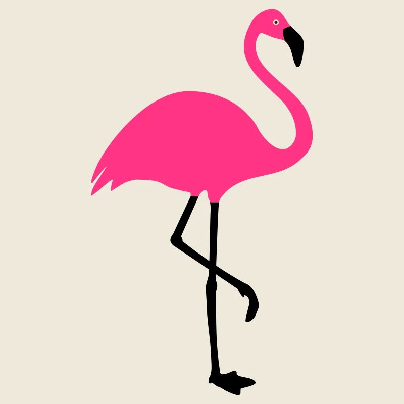 Flamingo summer sun beach