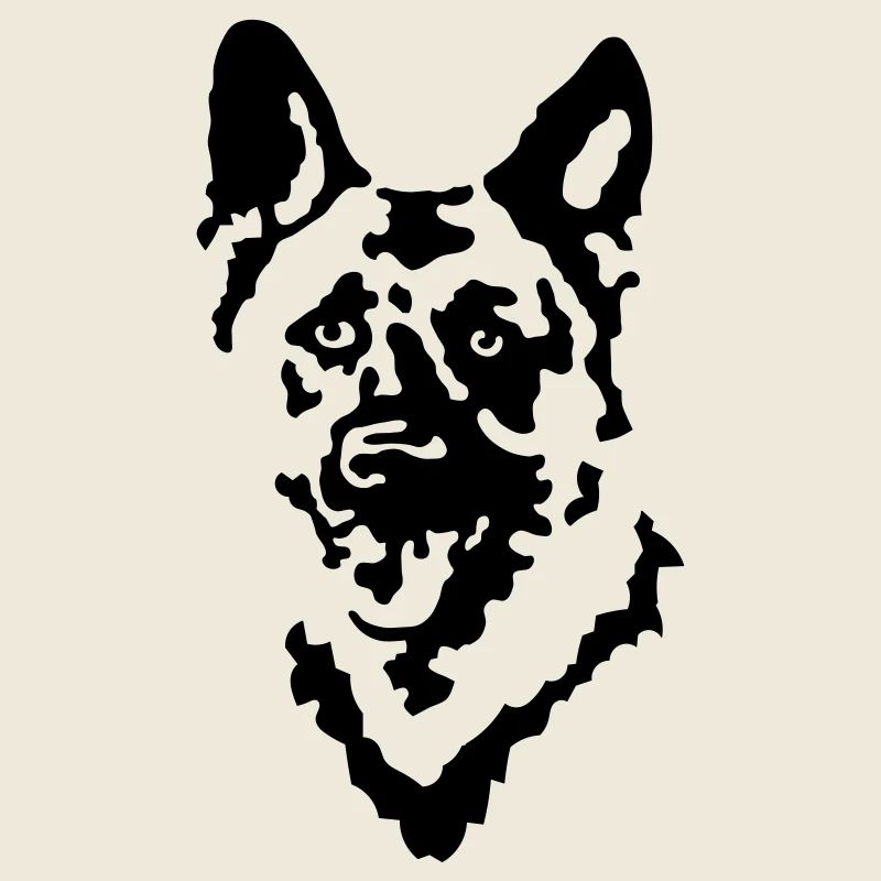 chien de berger