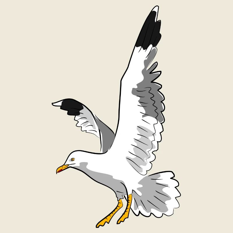 gull