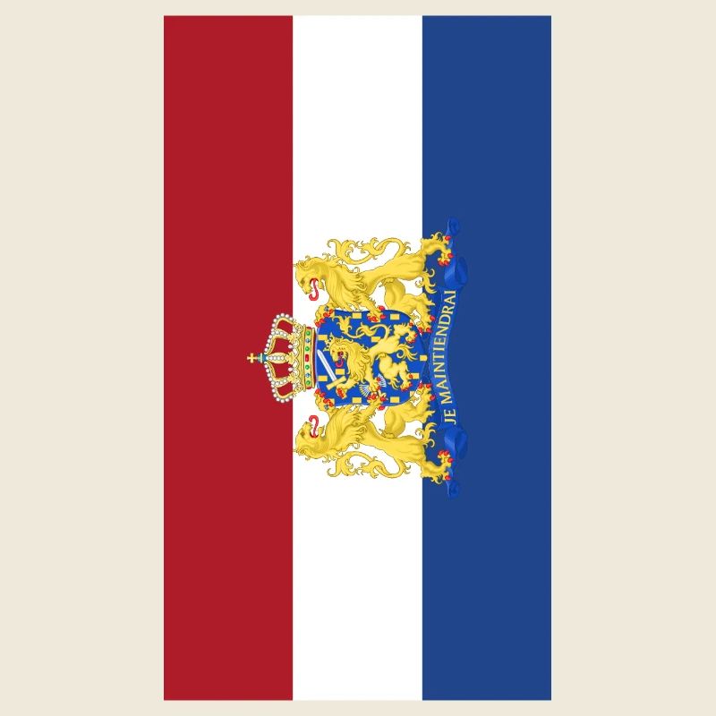 Netherlands flag phone case