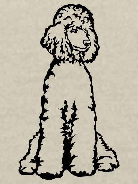 Caniche