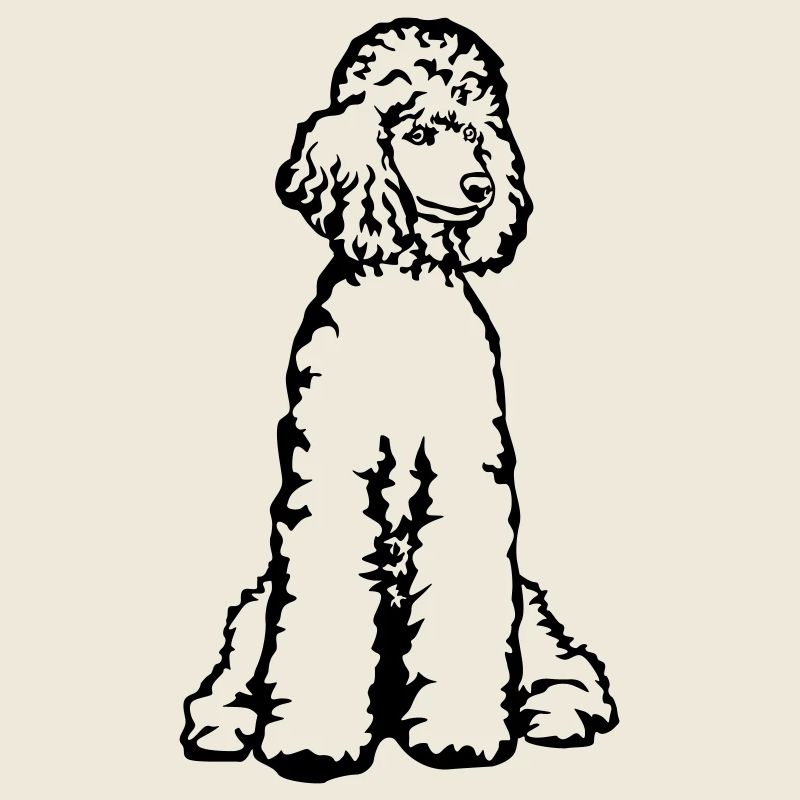 Caniche