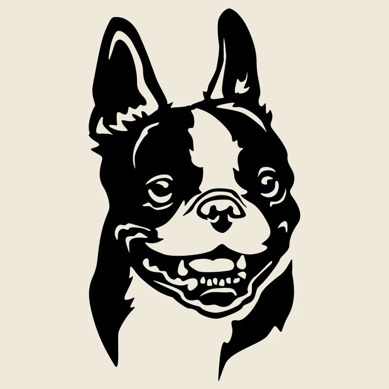 Boston Terrier Head