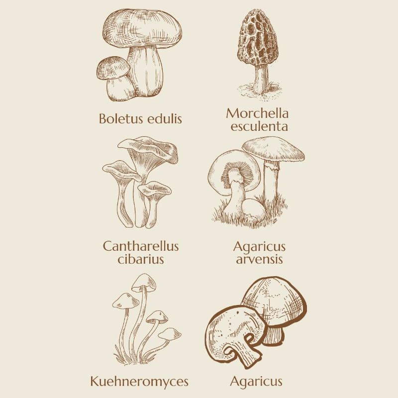 Proximité automnale avec la nature