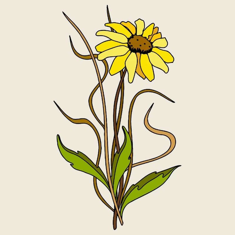 Blume