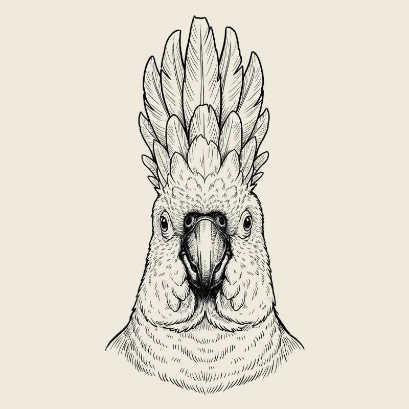Cacatoès