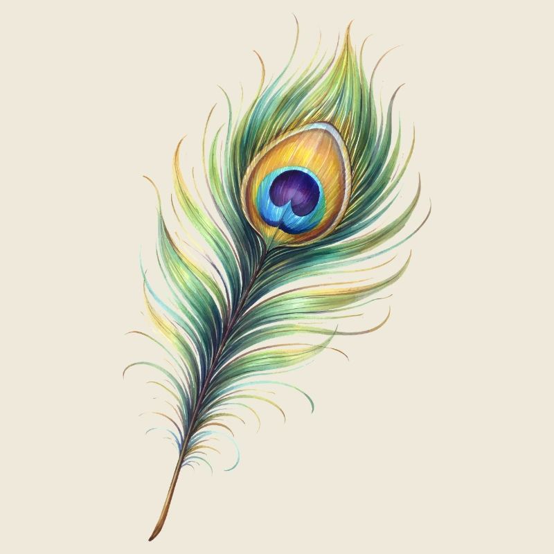 Peacock Feather Illustration Gradient Elegant