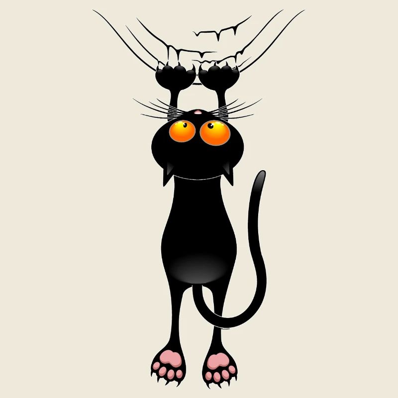 Lustiges Katzen-Meme hängt an einem Stoffvorhang