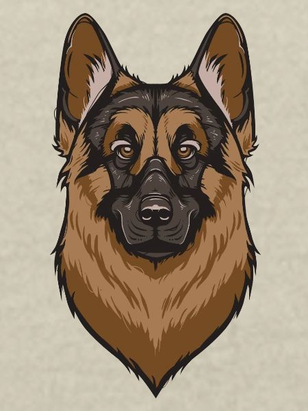 German Shepherd