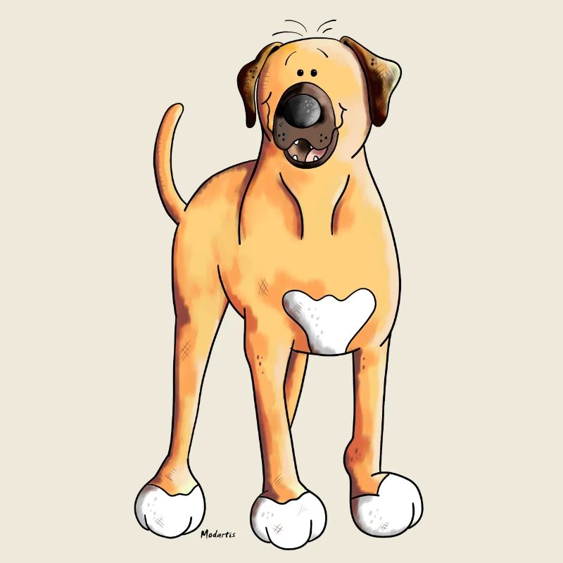 Baxter der Broholmer