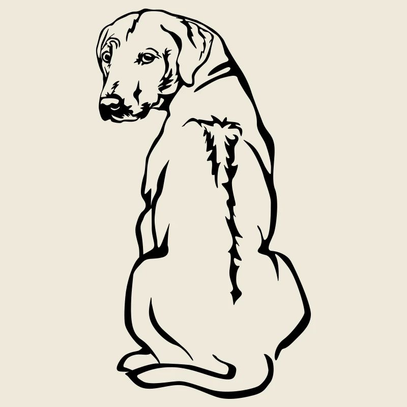 Rhodesian Ridgeback