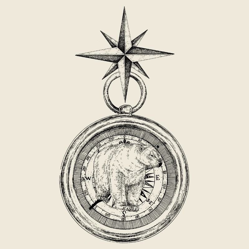 ARCTIC COMPASS