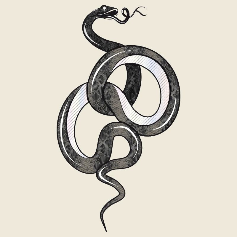 Fascinating snake in black glossy structure
