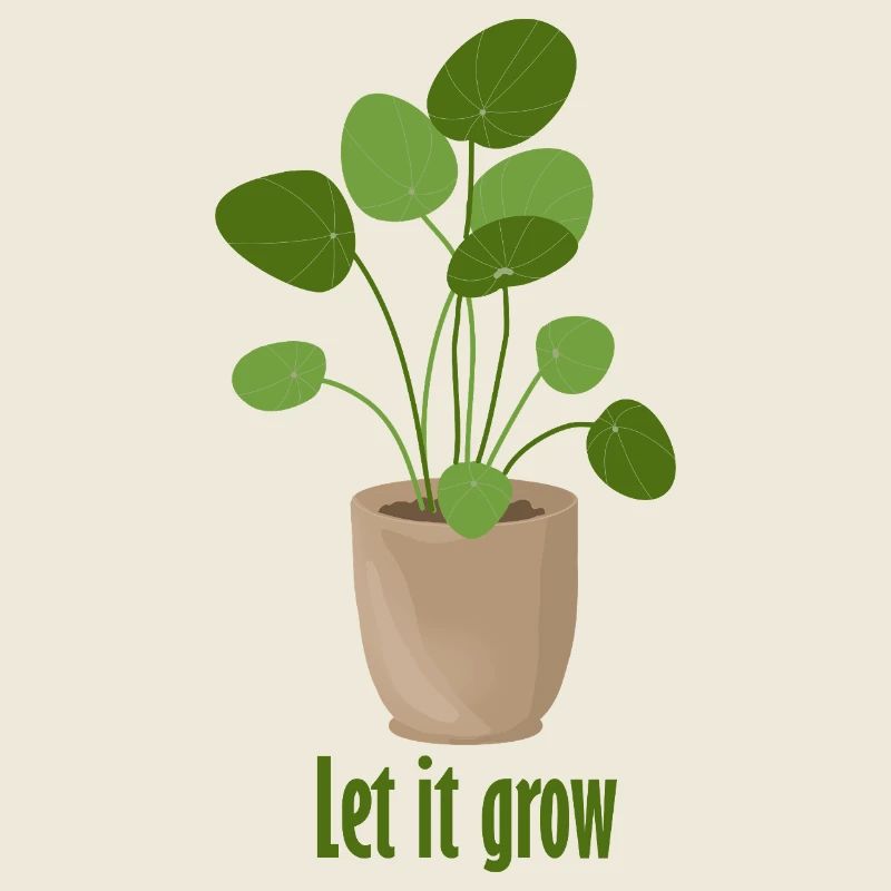 let it grow – Tellerpflanze