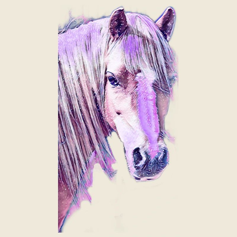 Welsh Poney