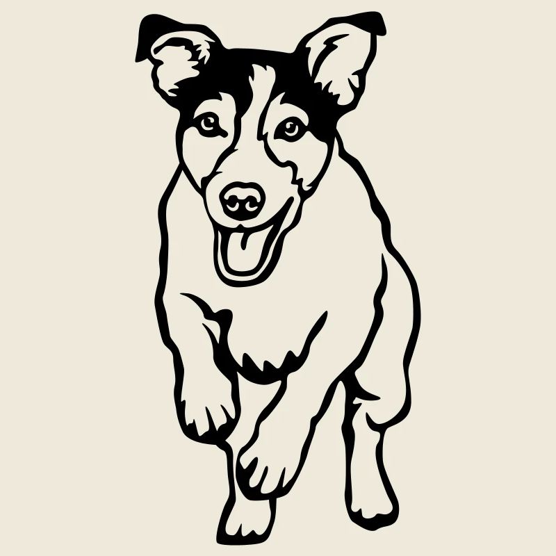 Jack Russell Terrier