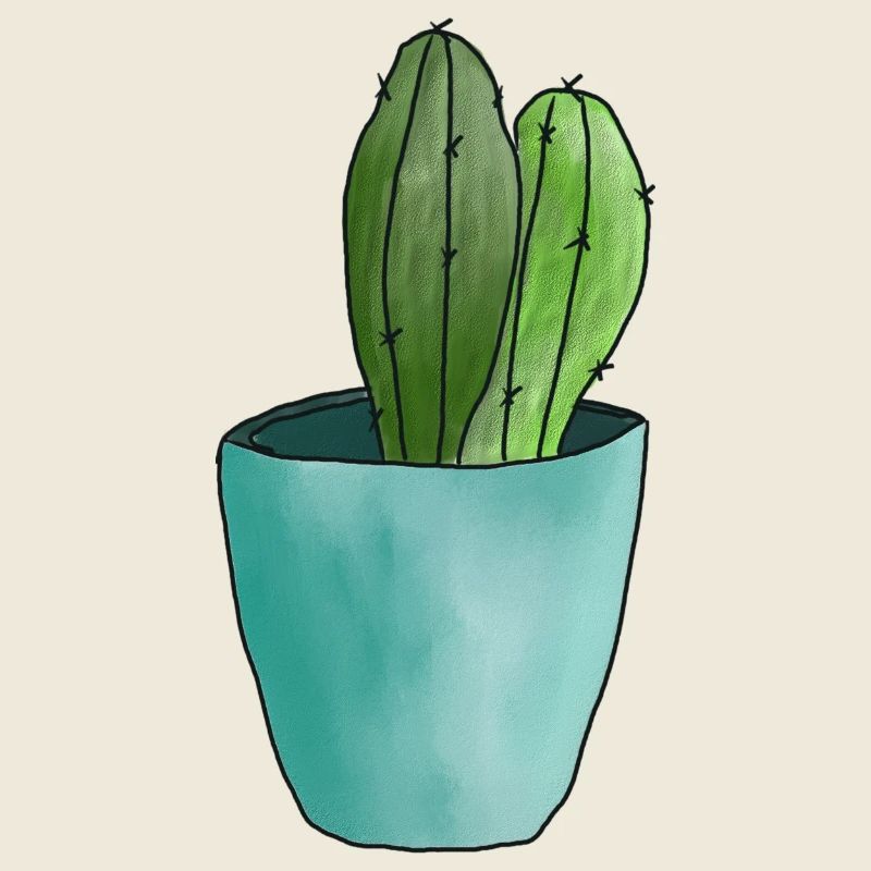 Cactus du désert au pastel