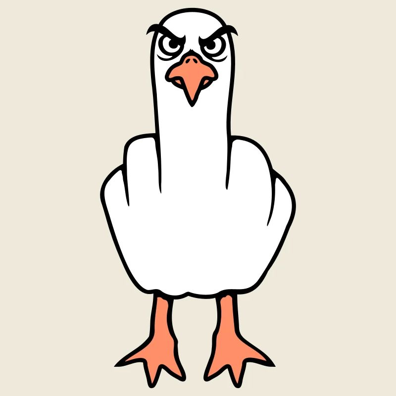 Möwe Mittelfinger Beleidigung Stinkefinger frech