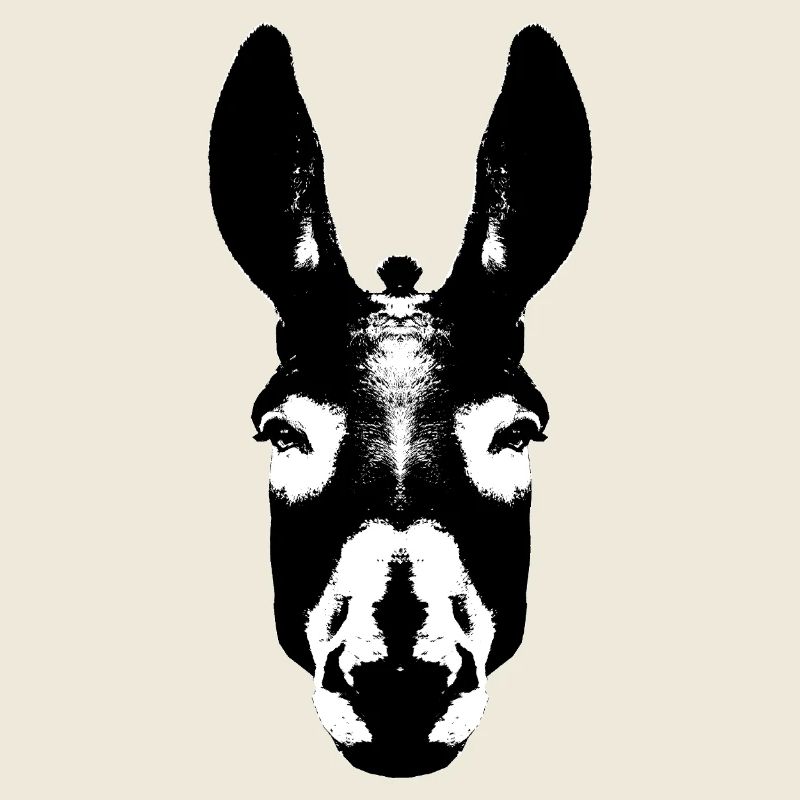 Donkey / Head