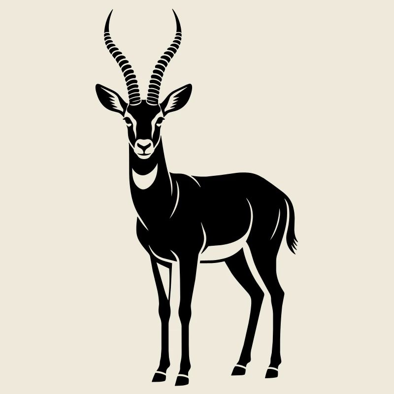 antelope