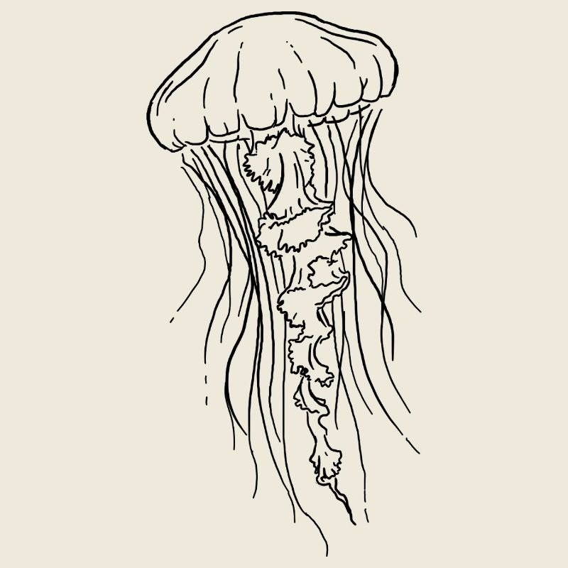 Illustration d’art au trait de méduse