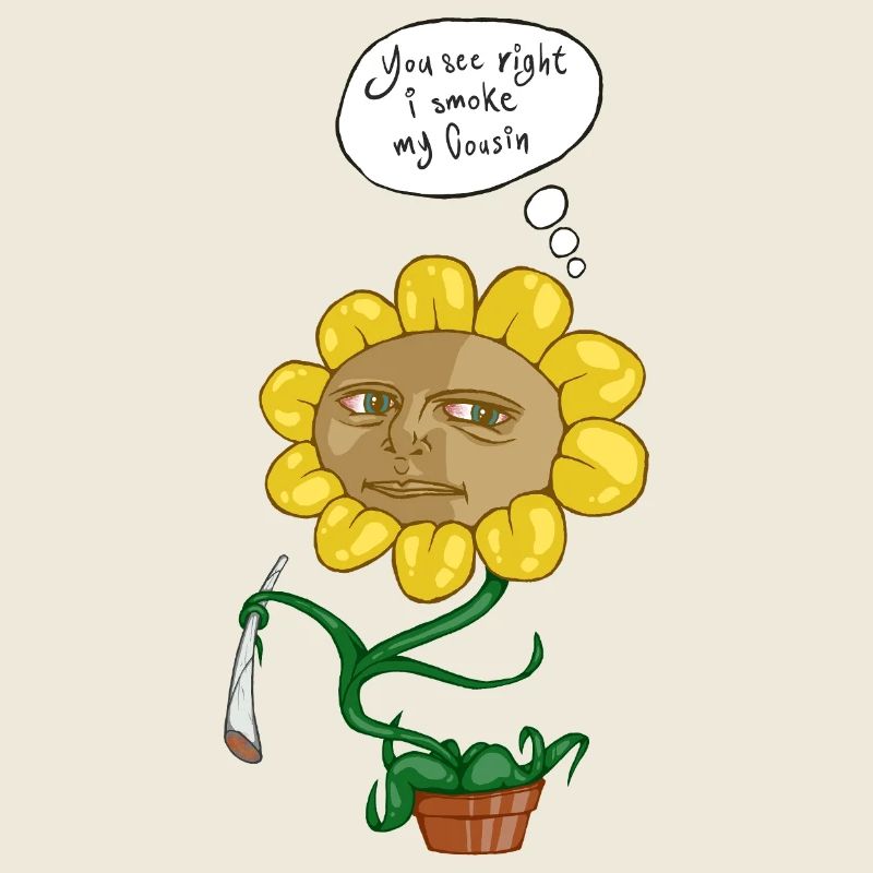 Sunflower Face Joke