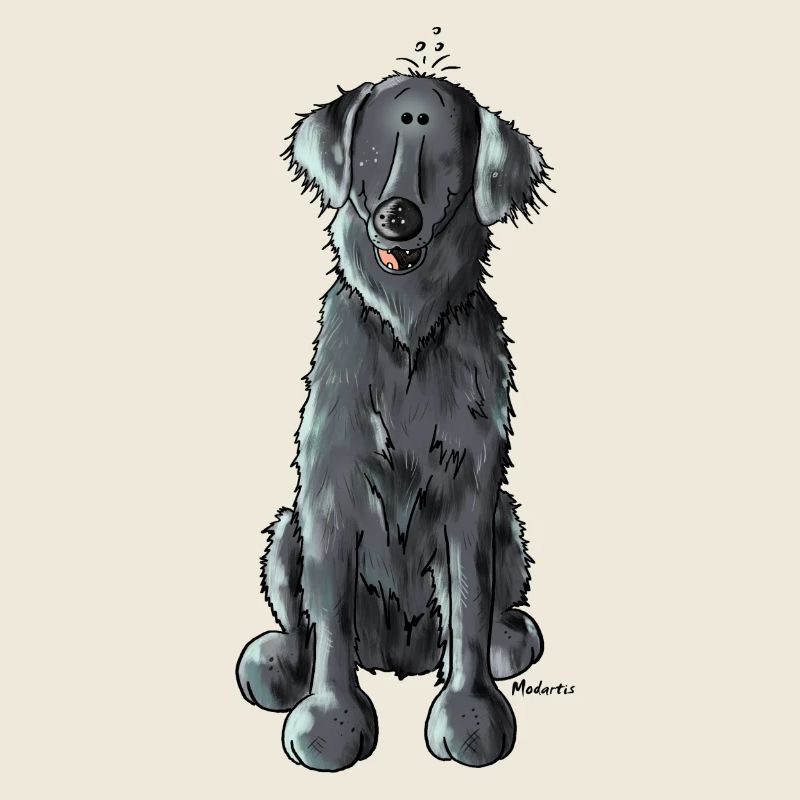 Happy Flat Coated Retriever