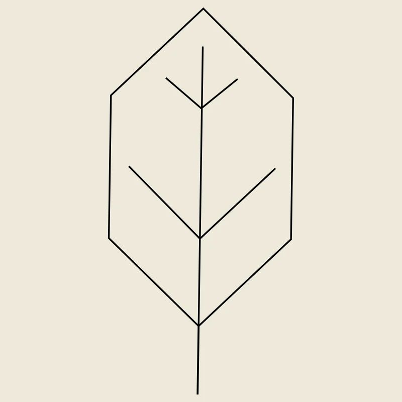leaf contour