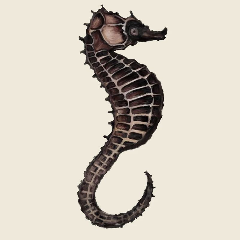 Watercolor Seahorse Pattern