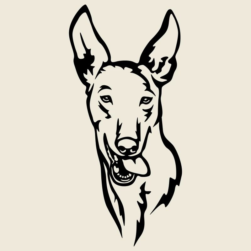 Tête Podenco