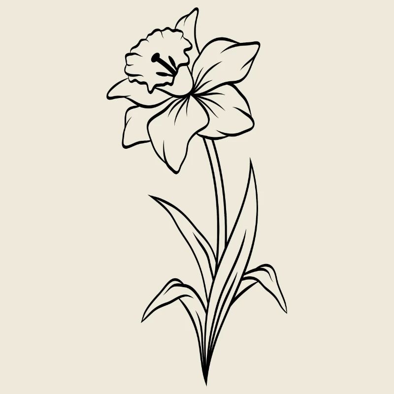 Narcisse