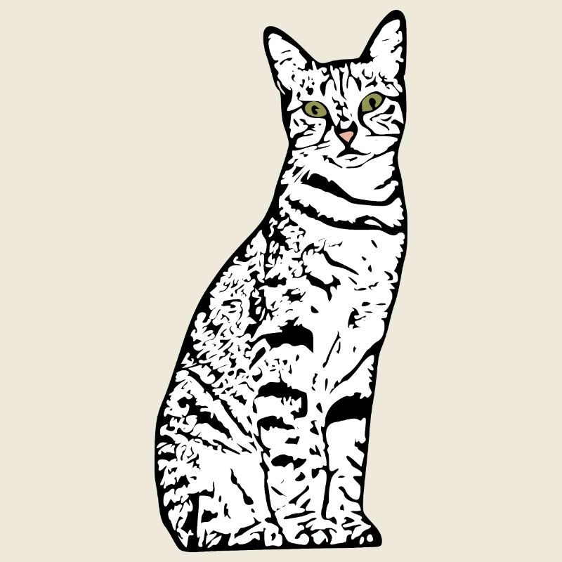 Chat blanc Chat Chat blanc Cadeau