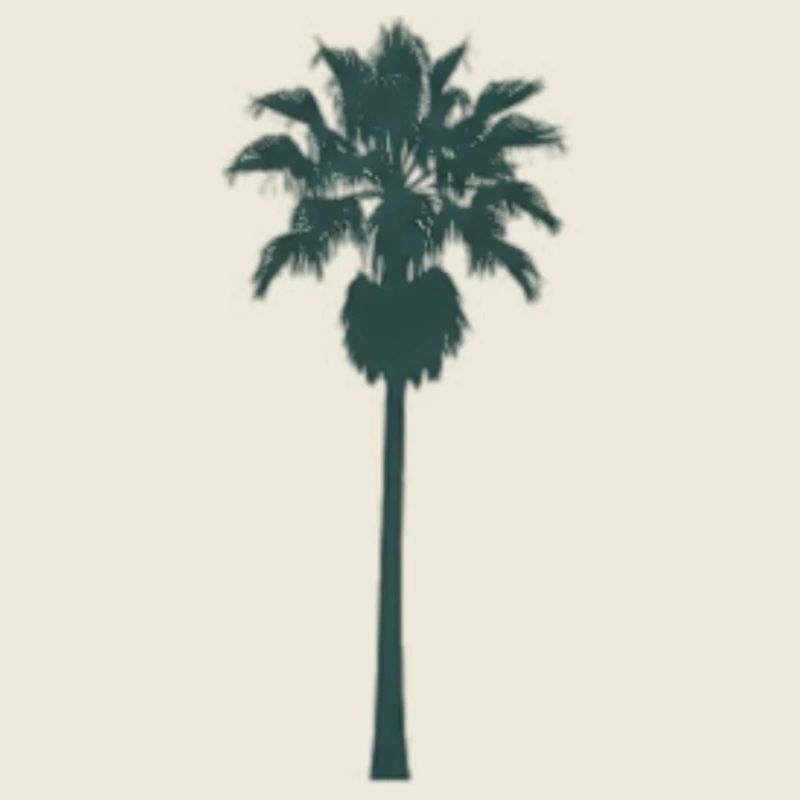 Tropischer Palmenbaum Design