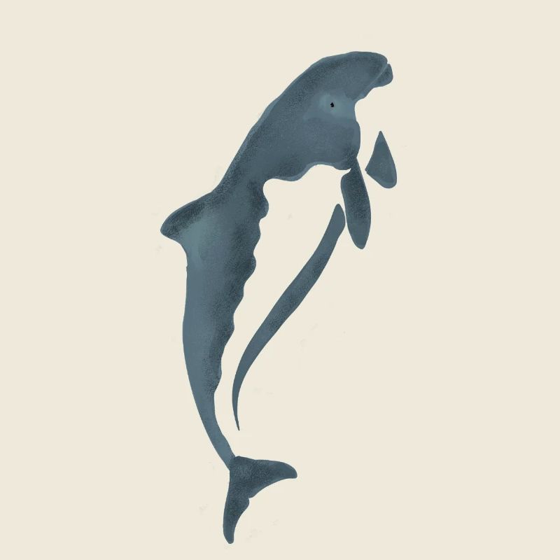 Aquarell-Delfin Silhouette