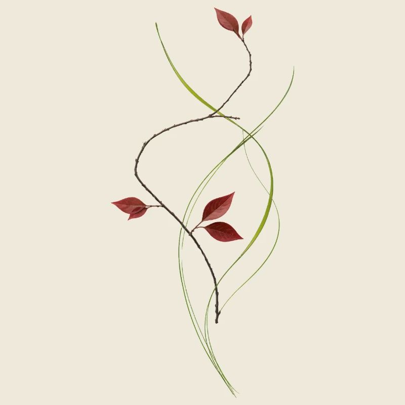 Branche minimaliste dans le style ikebana élégante