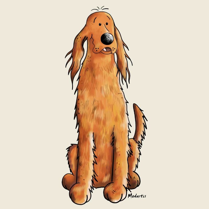 Drôle Setter Irlandais Rouge