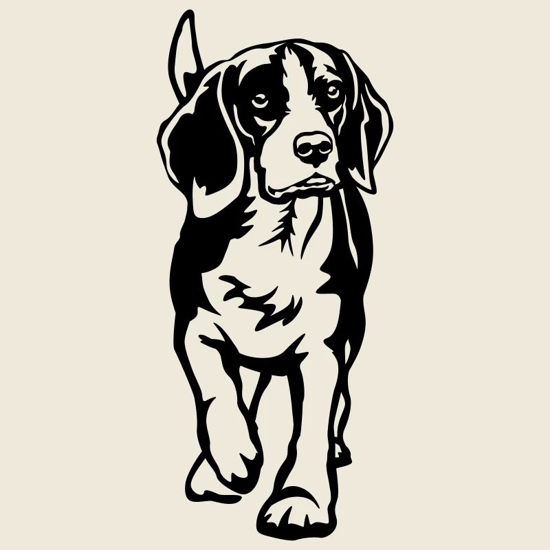 Beagle