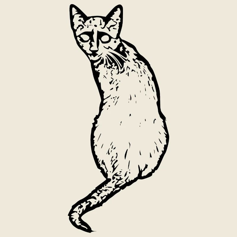 Katze schwarz