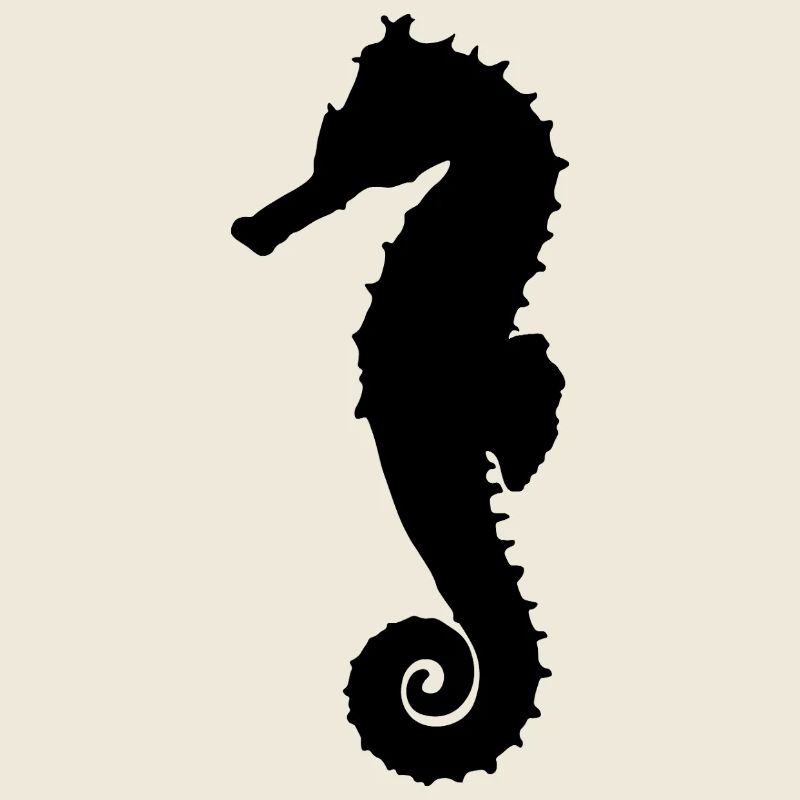 Hippocampe noir