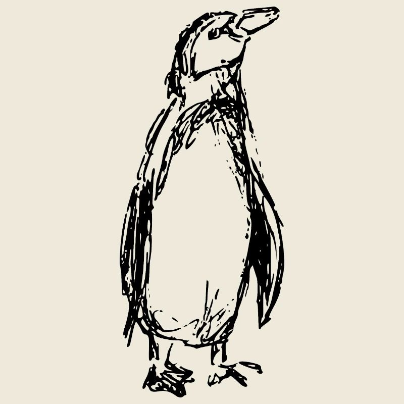 penguin