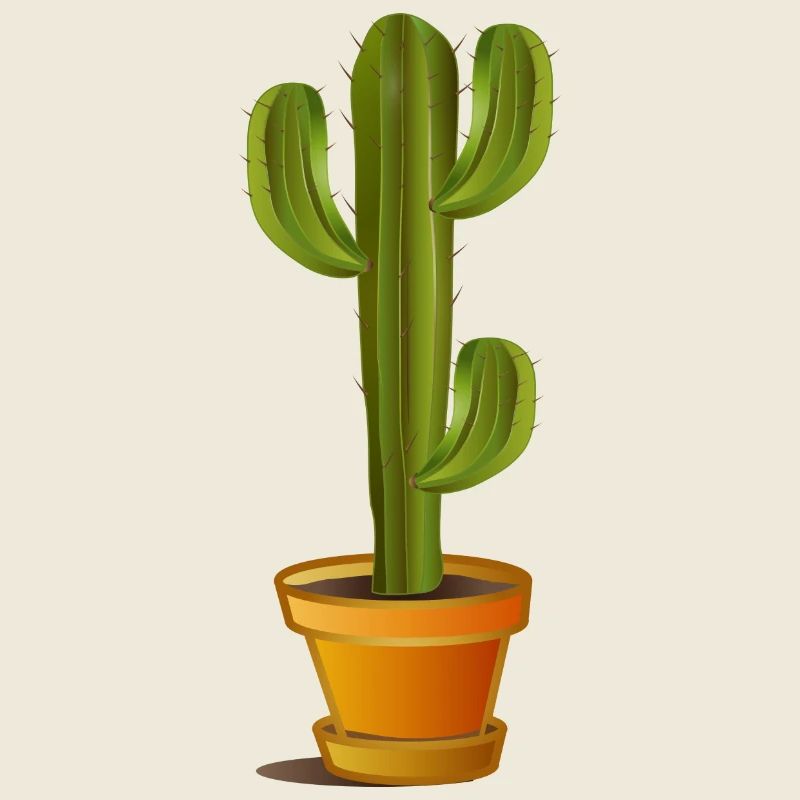 Grand cactus vert dans un pot de fleurs