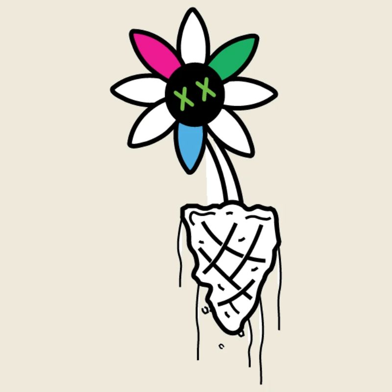 Vivid Flower Skull Illustration