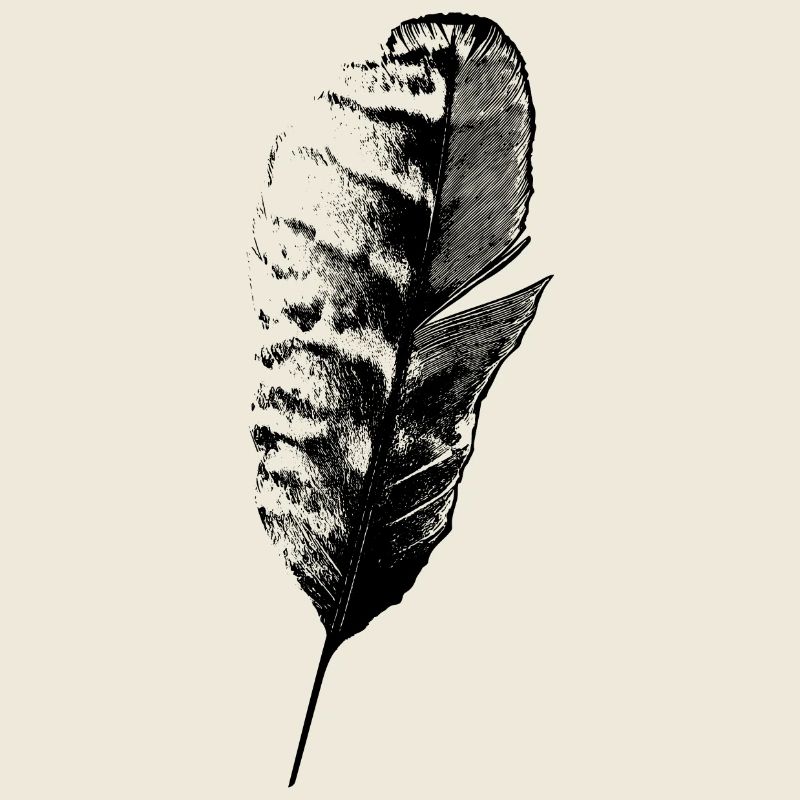 Plume d’écriture