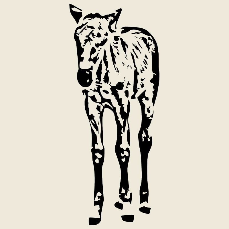 Chevaux T-shirt Cadeau Cavalier