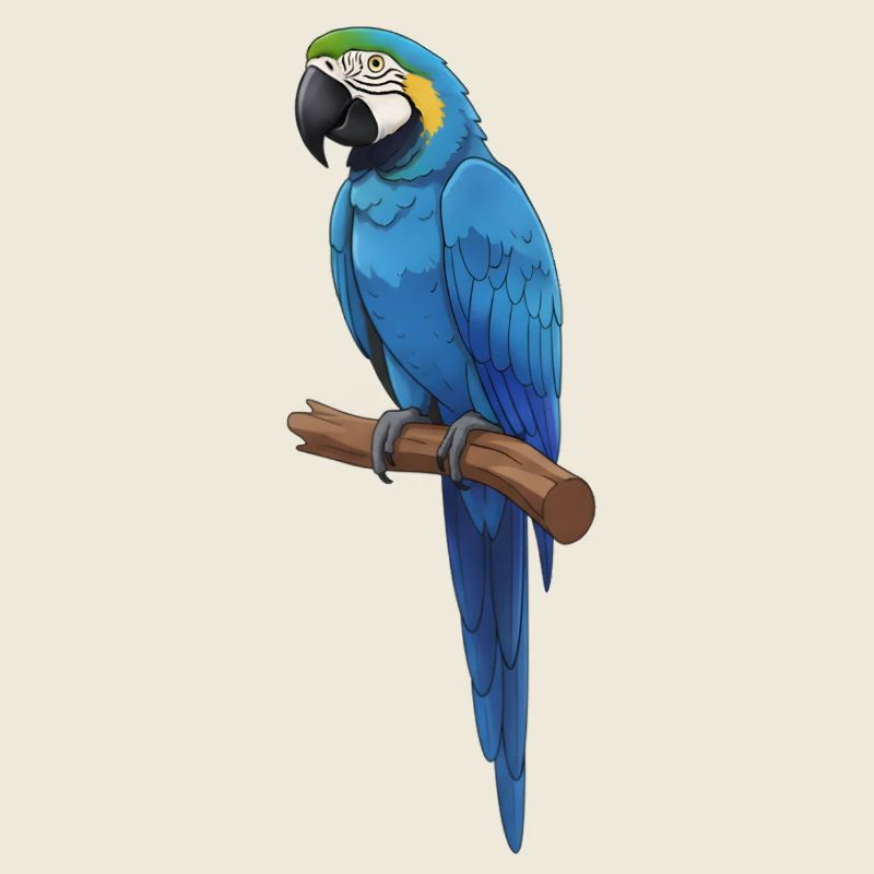 Ara bleu