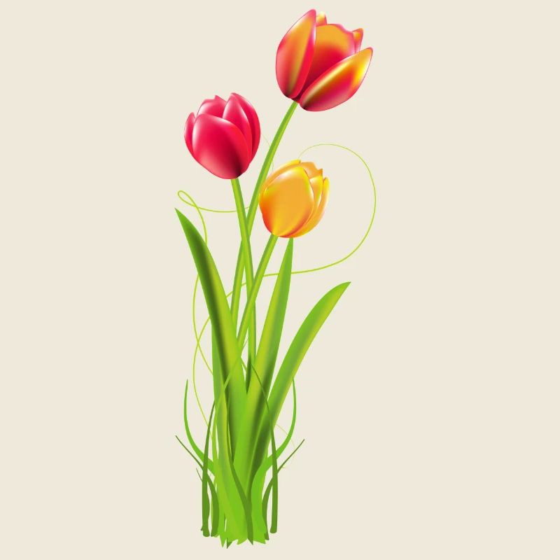 Three brightly coloured tulips as a spring bouquet