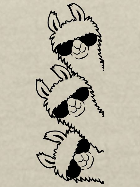 Freunde Lama Team
